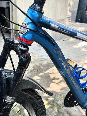 ফিনিক্স সাইকেল