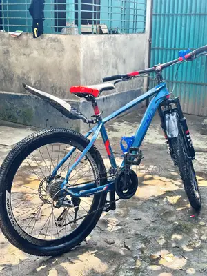 ফিনিক্স সাইকেল