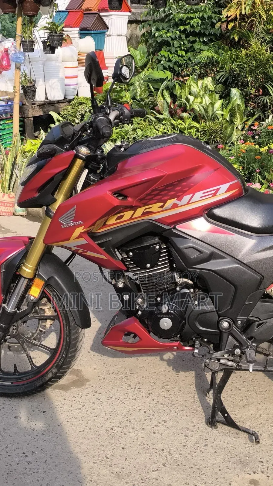 Honda Hornet 2.0 2024 Red