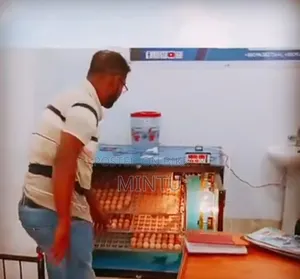 ইনকিউবেটর ৫৭৫ সেটার ১০০ হ্যাচার কন্ডিশন ভালো