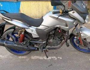 হিরো হাংক ২০১৩ সিলভার