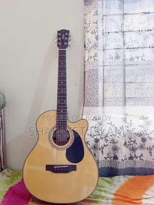 একুস্টিক গিটার সেল