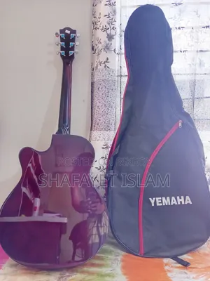 একুস্টিক গিটার সেল