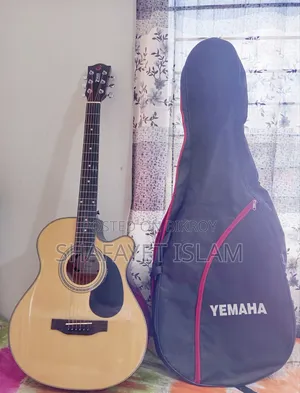 একুস্টিক গিটার সেল