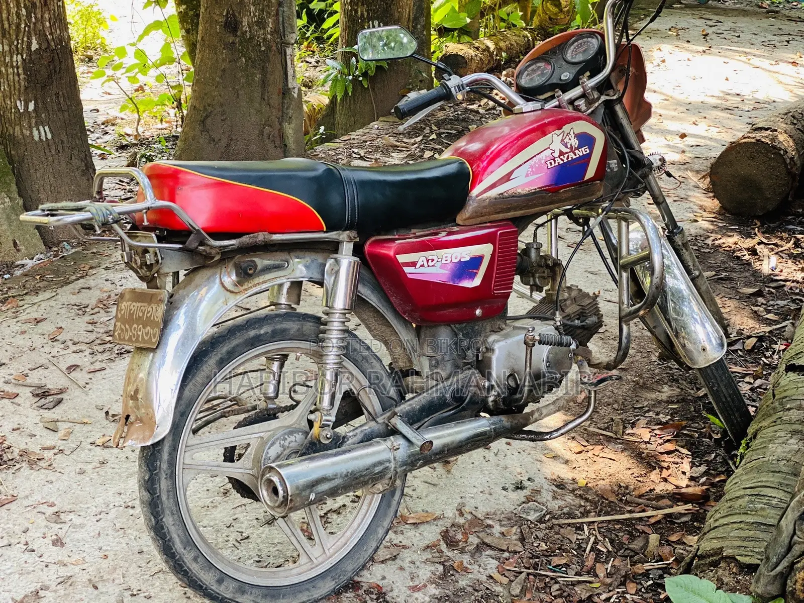 দায়াং অ্যাপোলো ২০২৬ রেড
