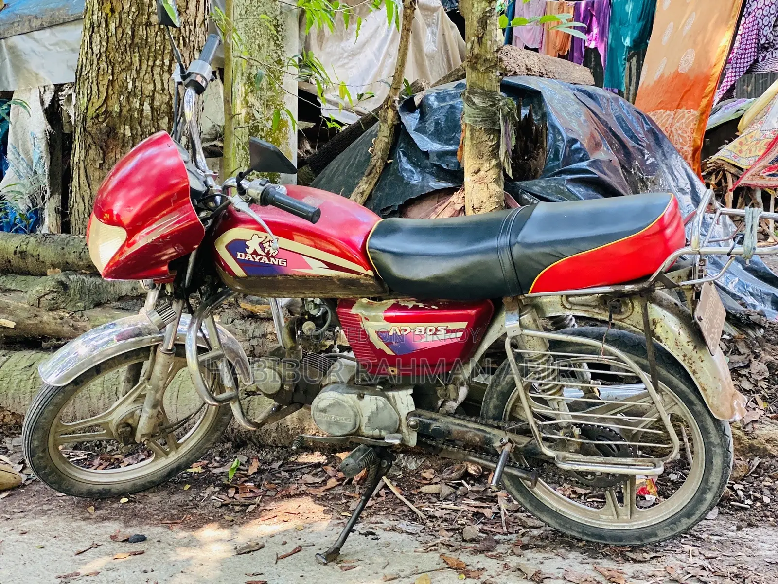 দায়াং অ্যাপোলো ২০২৬ রেড
