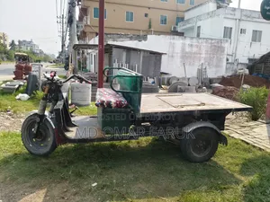 Bettery Auto Van - ব্যাটারি চালিত মালটানা অটো ভ্যান