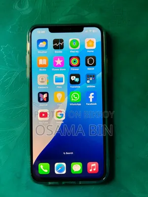 অ্যাপল আইফোন এক্সএস ম্যাক্স ২৫৬ জিবি সিলভার