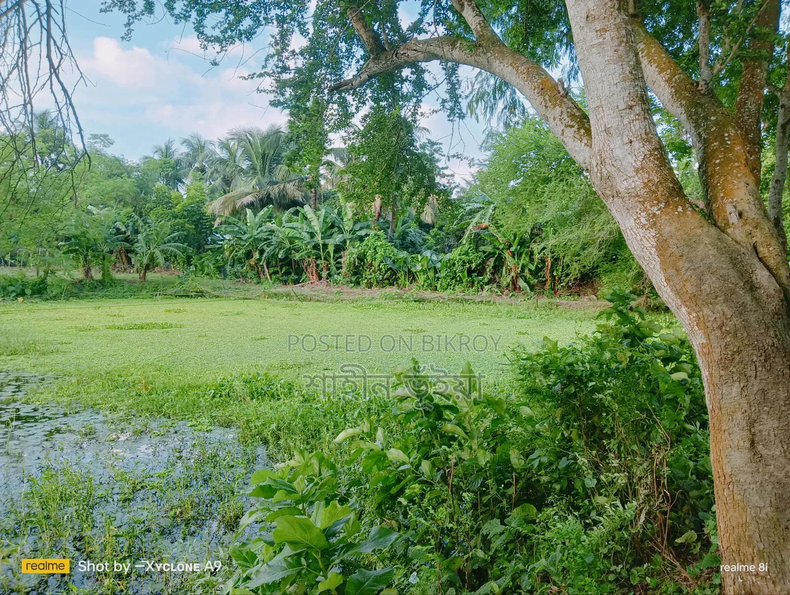 Land Sale at the Front Road of Daulatpur Khulna