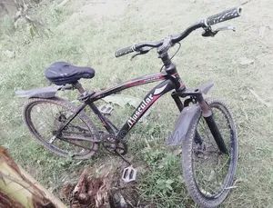 দুরন্ত সাইকেল
