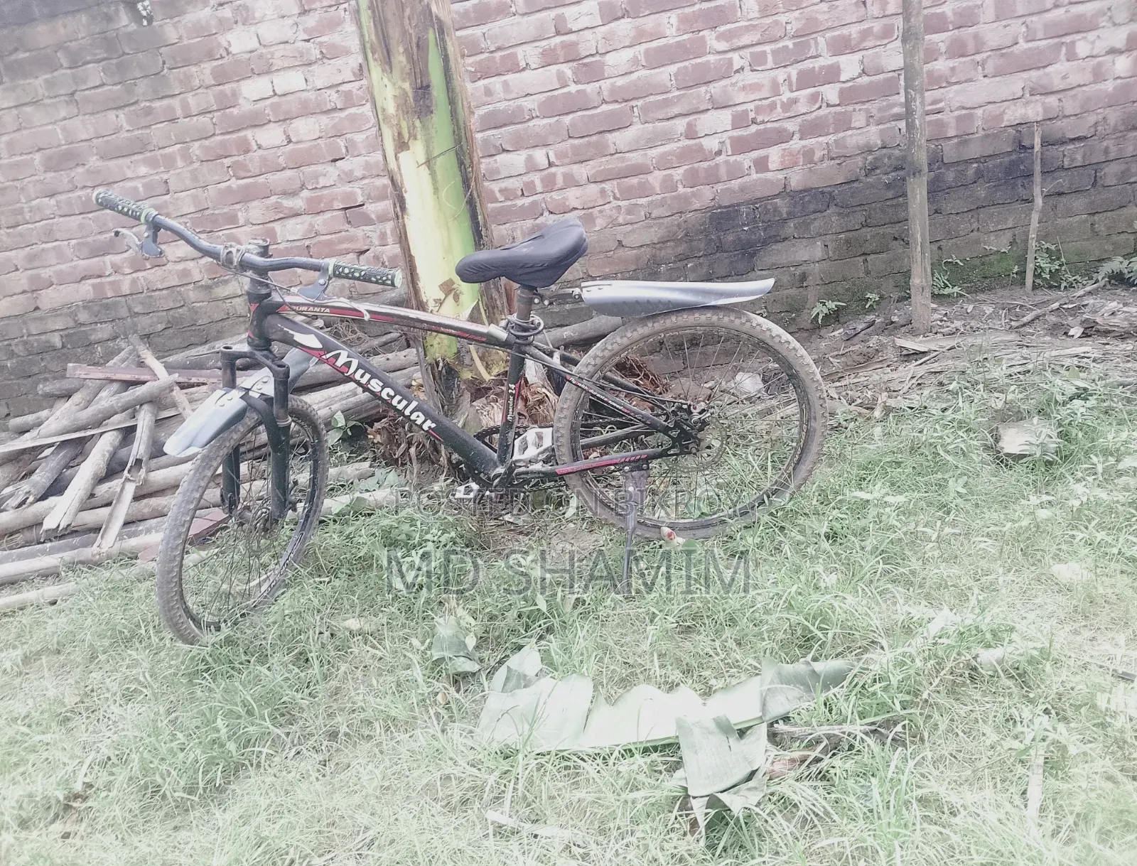 দুরন্ত সাইকেল