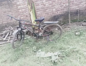 দুরন্ত সাইকেল