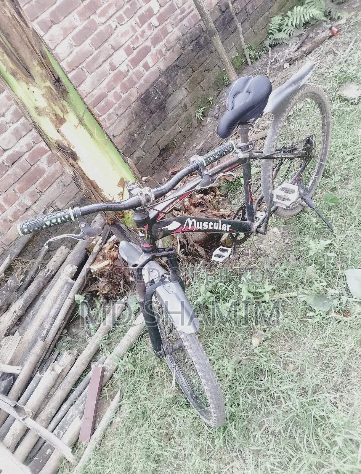 দুরন্ত সাইকেল
