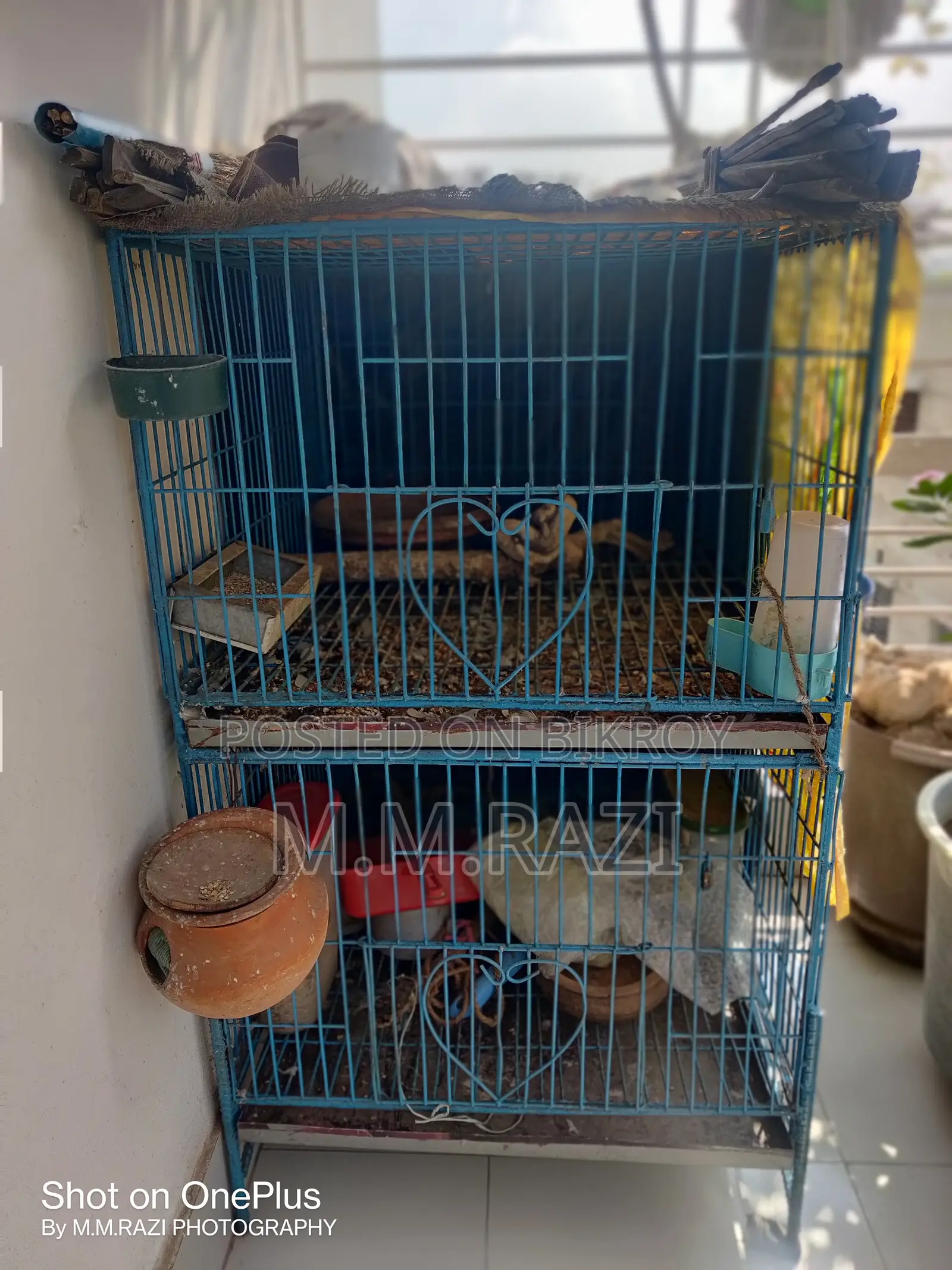 Two Storied Bird Cage