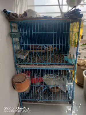 Two Storied Bird Cage