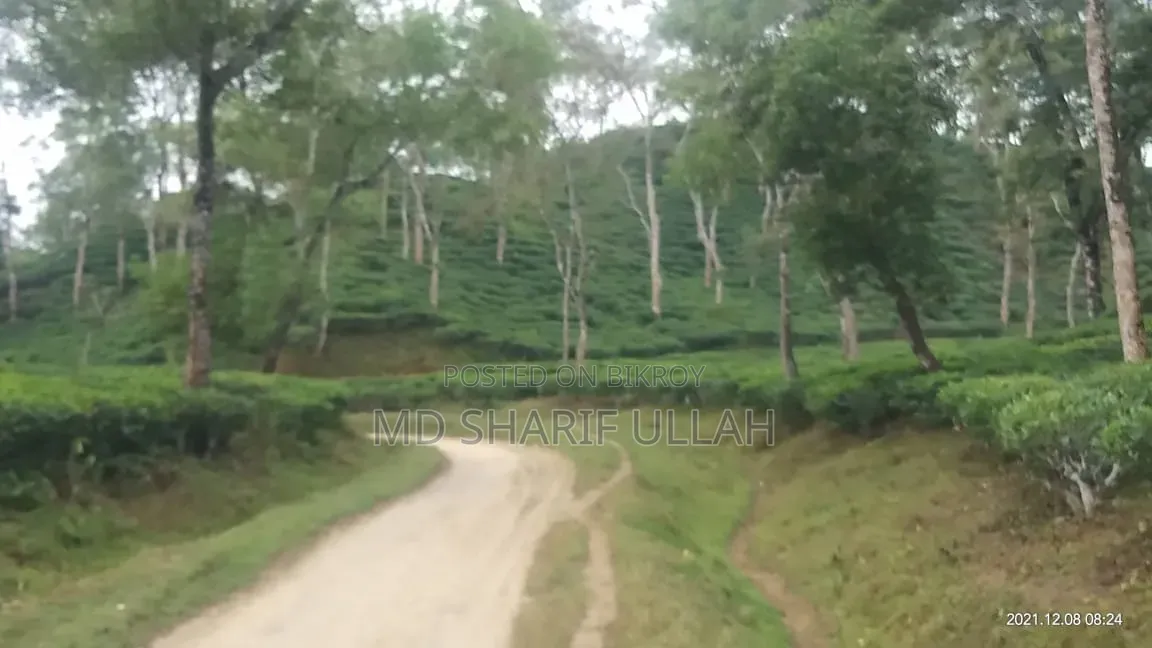 চা বাগান বিক্রয়