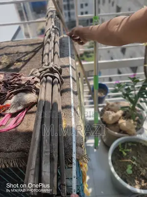 Two Storied Bird Cage
