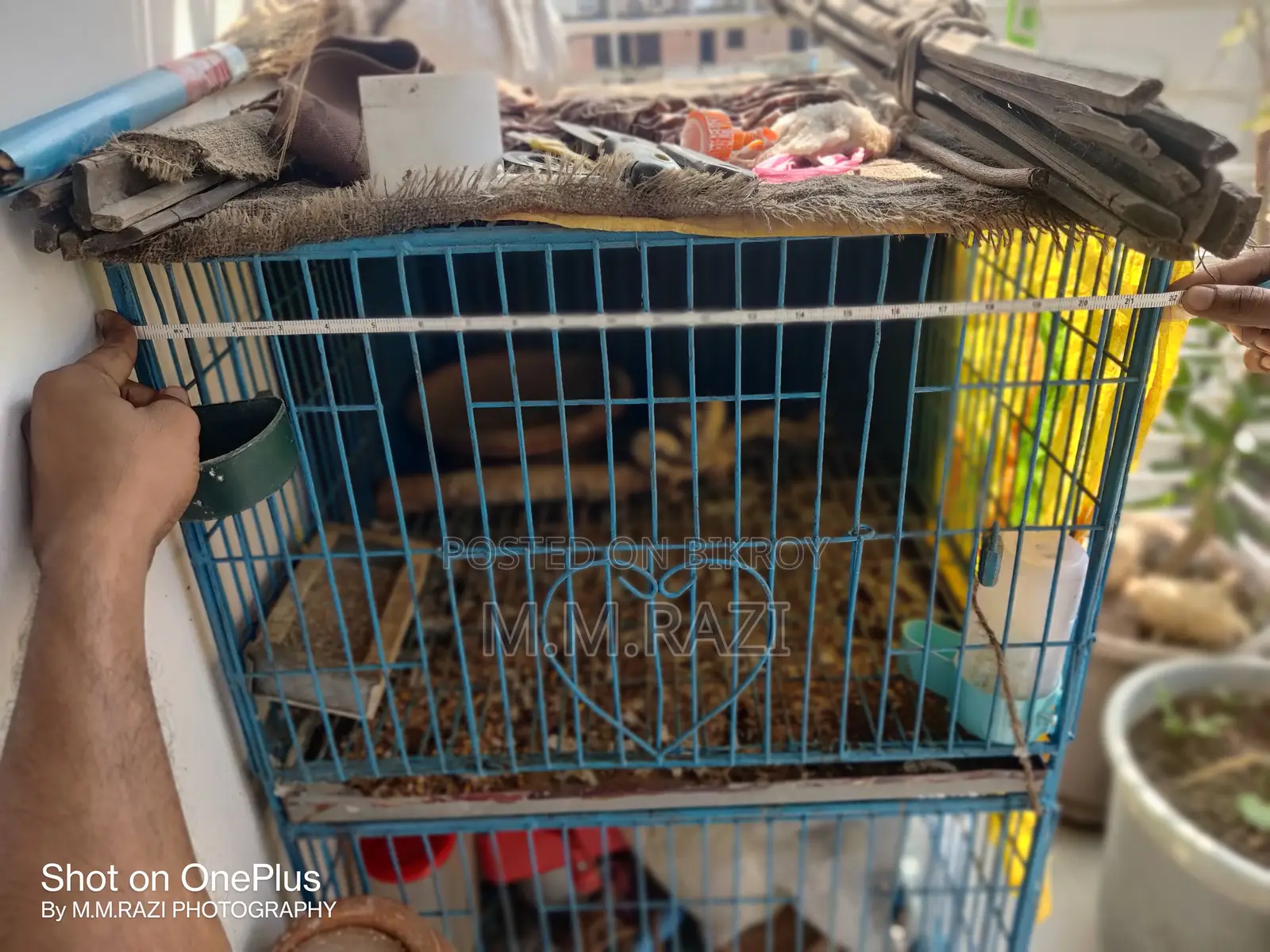 Two Storied Bird Cage