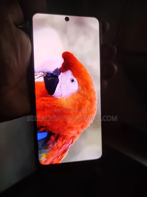 শাওমি রেডমি নোট ১০ প্রো ১২৮ জিবি রোজ গোল্ড