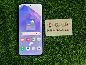Samsung Galaxy A55 256 GB Blue