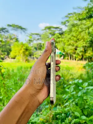 অ্যাপল আইফোন ১২ প্রো ম্যাক্স ২৫৬ জিবি রোজ গোল্ড