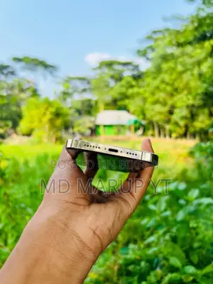 অ্যাপল আইফোন ১২ প্রো ম্যাক্স ২৫৬ জিবি রোজ গোল্ড