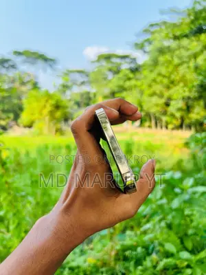 অ্যাপল আইফোন ১২ প্রো ম্যাক্স ২৫৬ জিবি রোজ গোল্ড