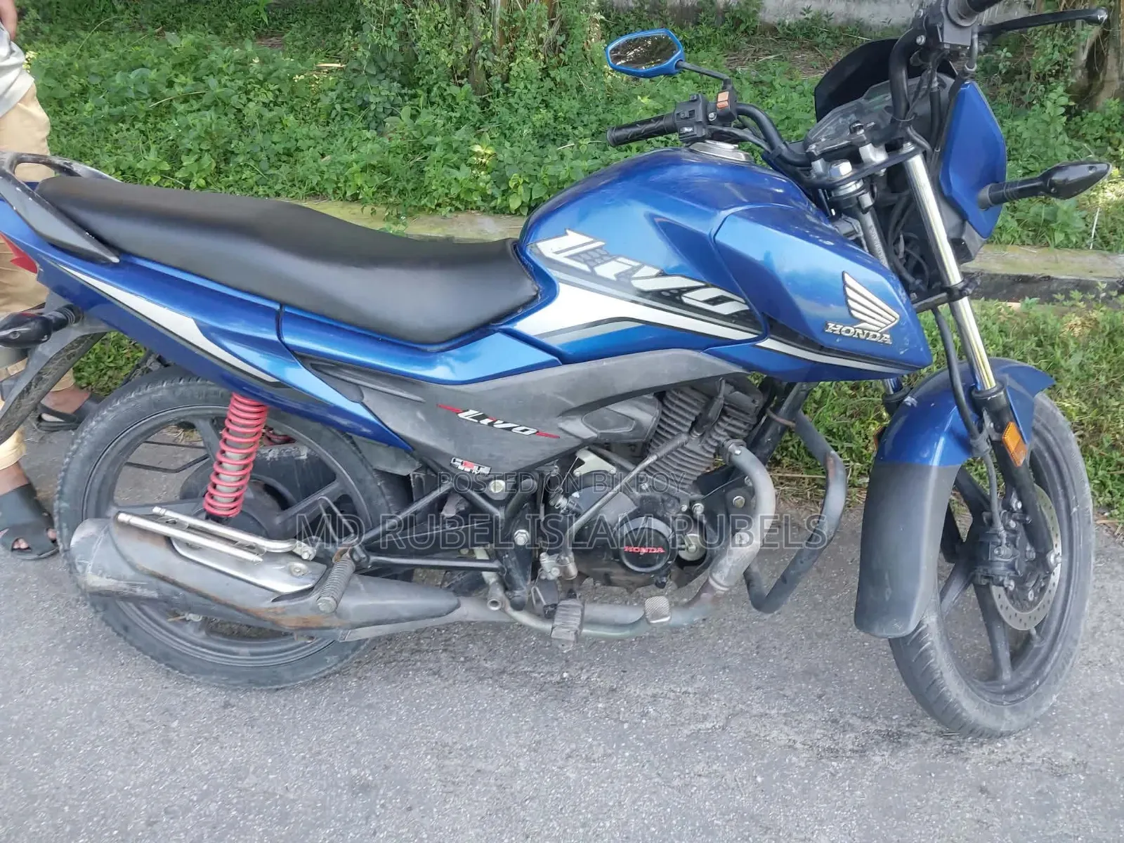 Honda Livo 2020 Green
