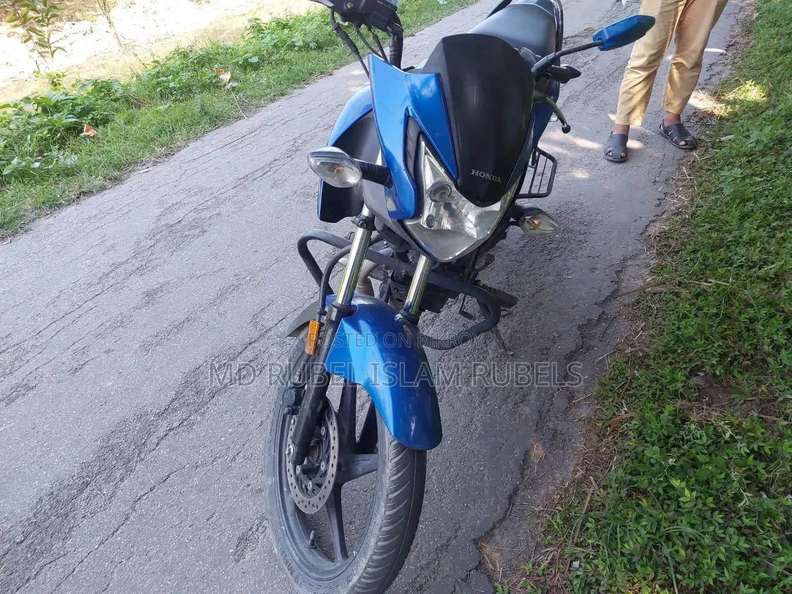 Honda Livo 2020 Green