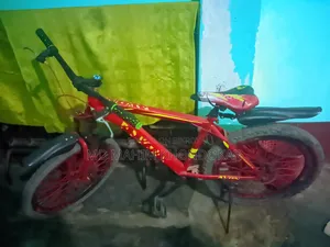 এভন বাইসাইকেল