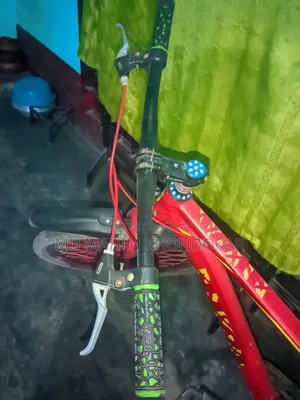 এভন বাইসাইকেল