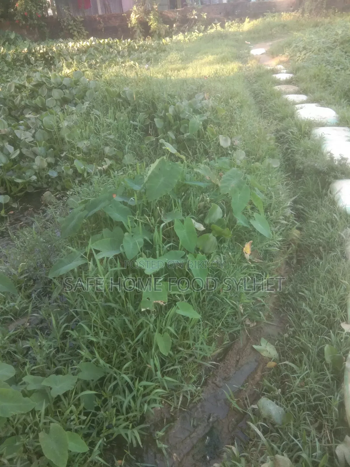Land for sale