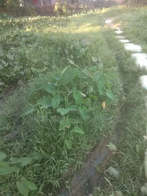Land for sale