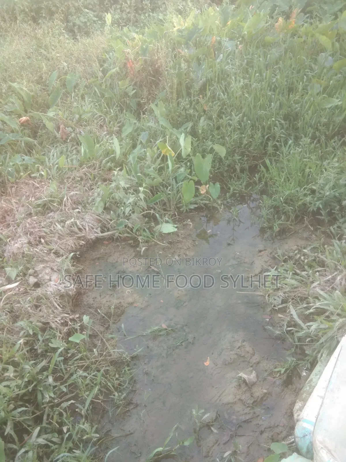 Land for sale