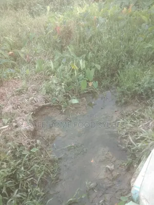 Land for sale