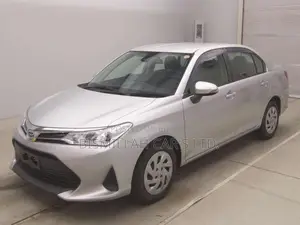 Toyota Axio 2021 Silver