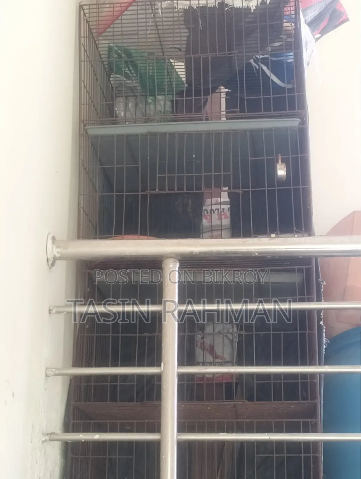 Kobtor Kaca