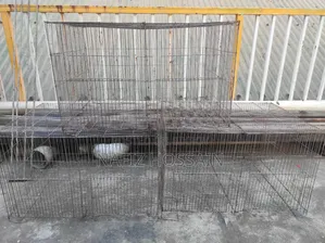 Urgent Sale 24"18"