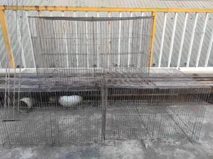 Urgent Sale 24"18"