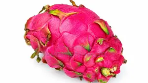 প্রকৃতির রঙে ভরপুর টাটকা ড্রাগন ফল | PaharBite