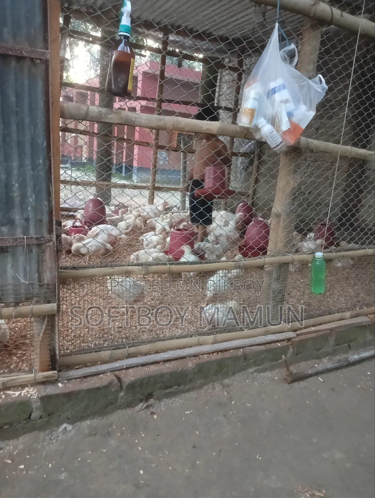 রিয়েলমি ১০ ১২৮ জিবি