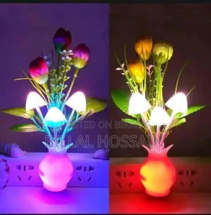 Night Lamp