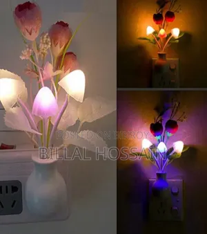 Night Lamp