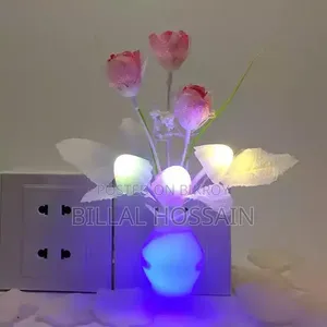Night Lamp