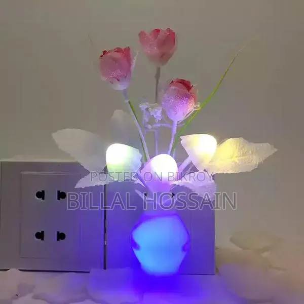 Night Lamp