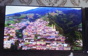 Eco+ 32" Voice TV (রিপ্লেসমেন্ট গ্যারান্টি)