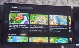 Eco+ 32" Voice TV (রিপ্লেসমেন্ট গ্যারান্টি)
