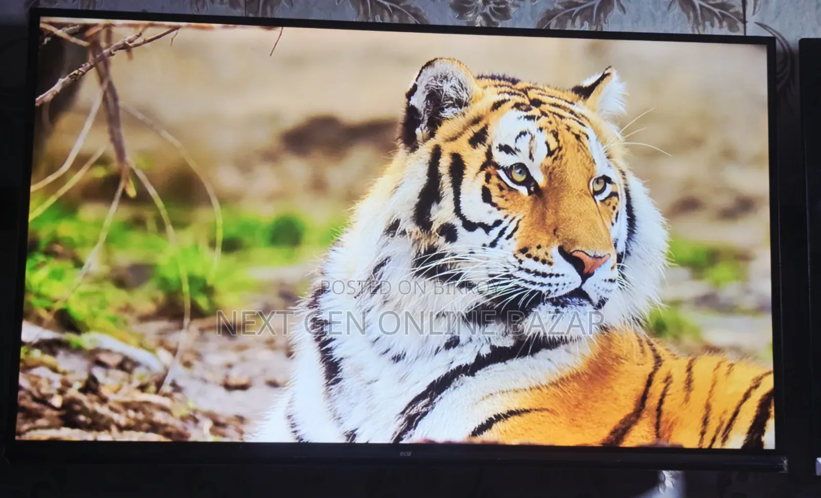 Eco+ 32" Voice TV (রিপ্লেসমেন্ট গ্যারান্টি)