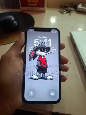 অ্যাপল আইফোন ১২ ১২৮ জিবি ব্লু