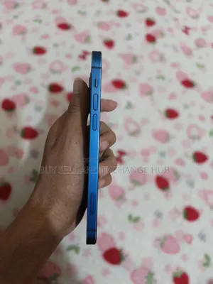 অ্যাপল আইফোন ১২ ৬৪ জিবি ব্লু